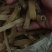 瑶柱沙虫干货