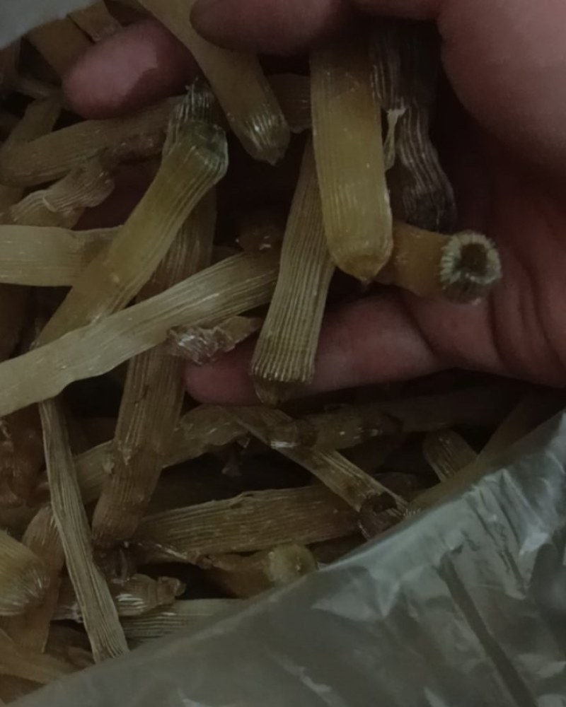 瑶柱沙虫干货