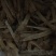 瑶柱沙虫干货