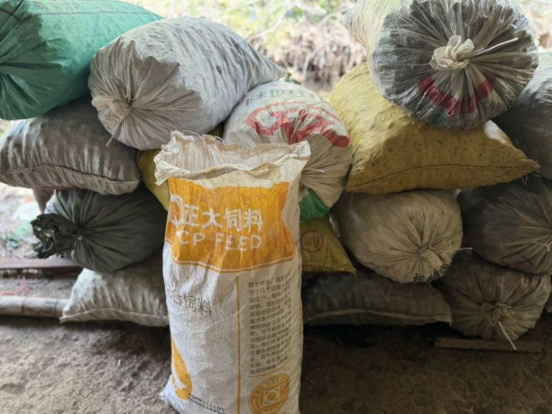 田螺壳，纯人工挑选，量大电聊价格