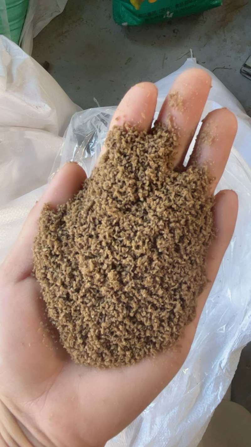 孜然碎烧烤蘸料孜然碎辅料厂家直销