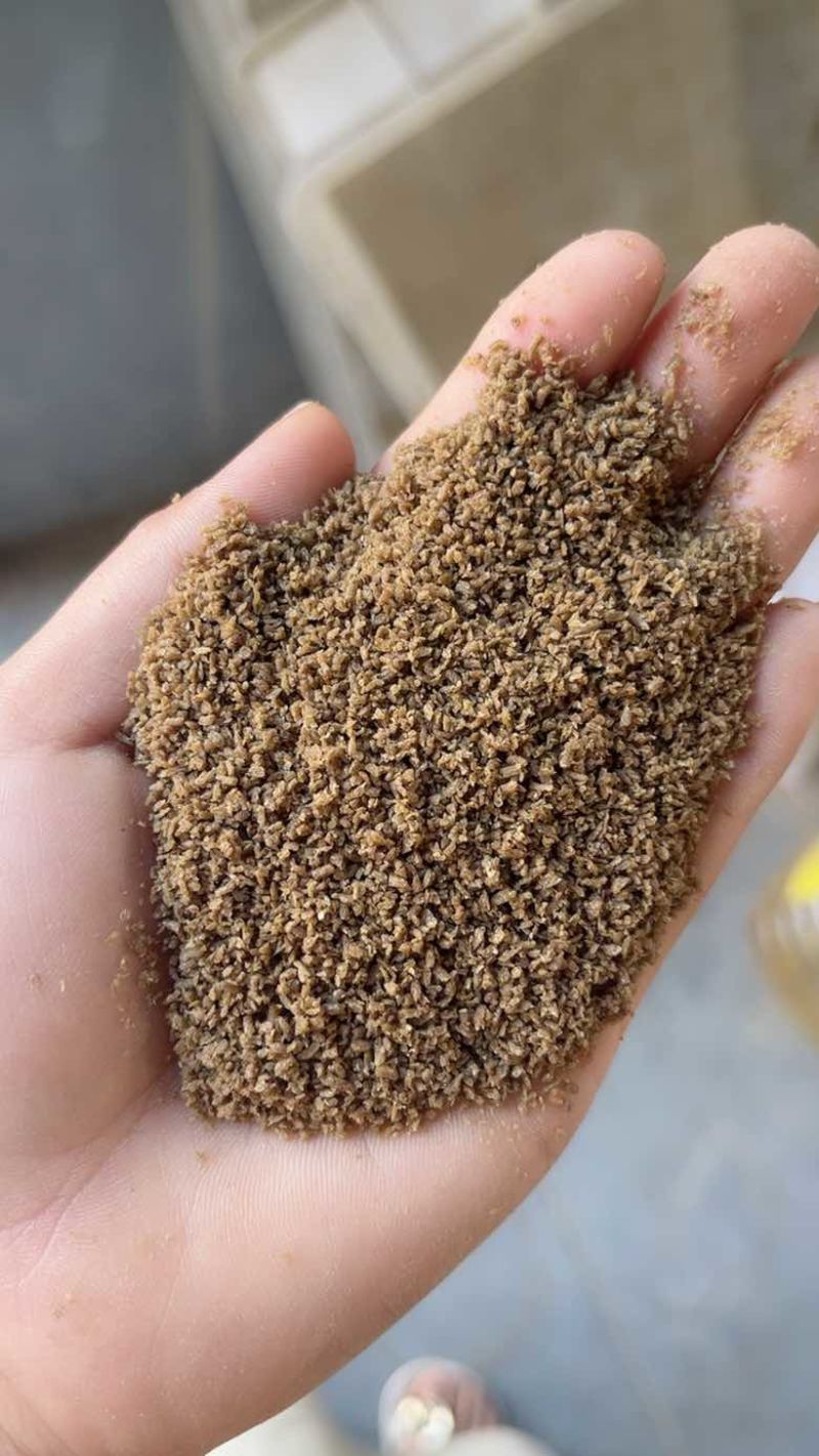 孜然碎烧烤蘸料孜然碎辅料厂家直销