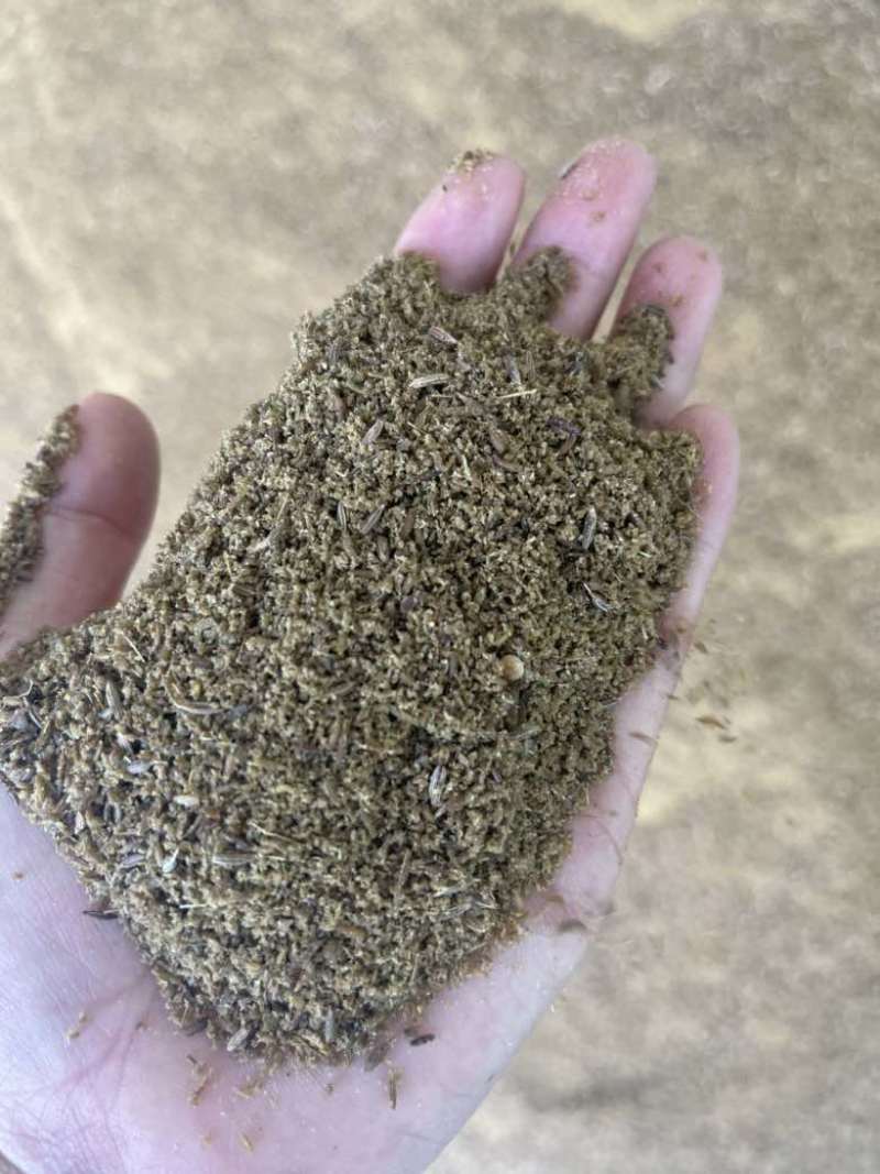 孜然碎烧烤蘸料孜然碎辅料厂家直销