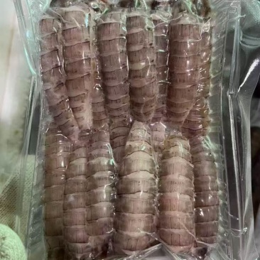 皮皮虾肉