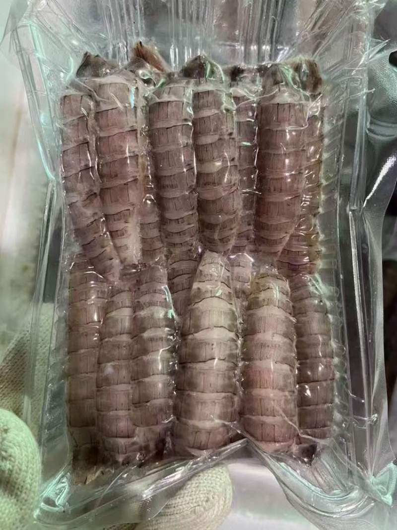 皮皮虾肉