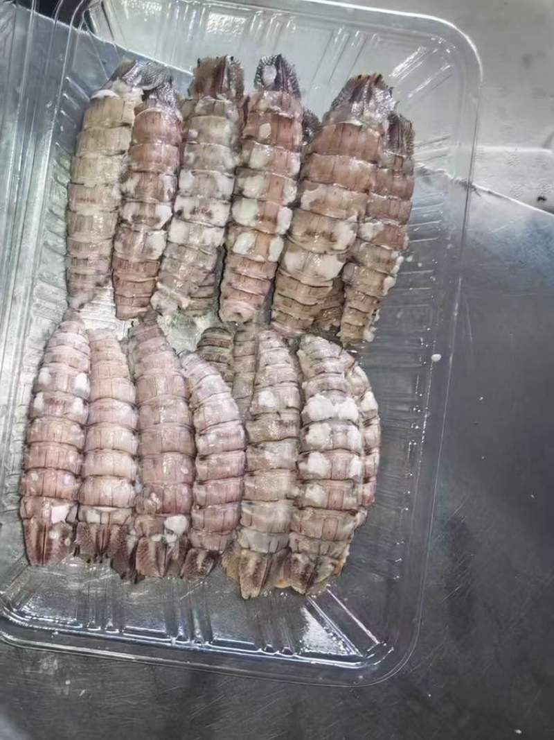 皮皮虾肉