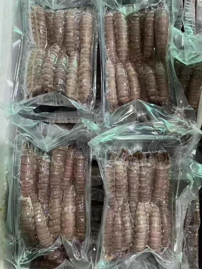 皮皮虾肉