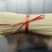 江西米粉干