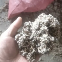 新疆棉壳厂家直销