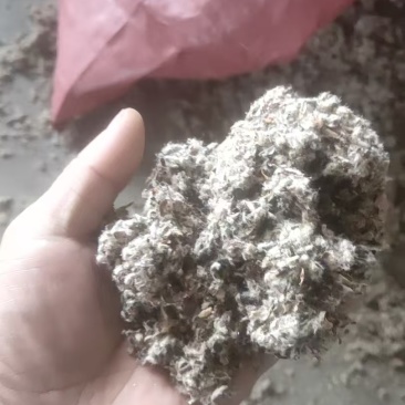 新疆棉壳厂家直销