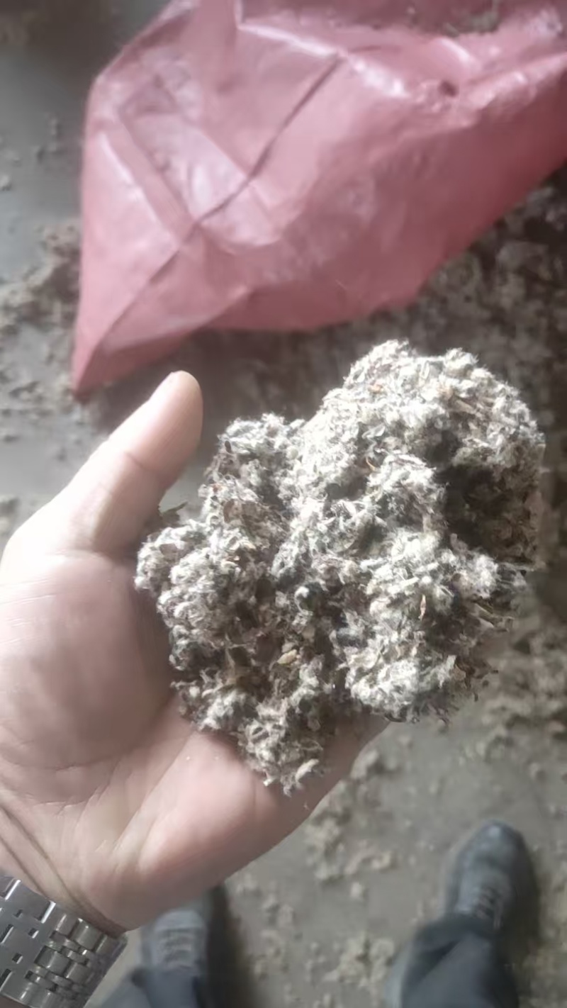 新疆棉壳厂家直销