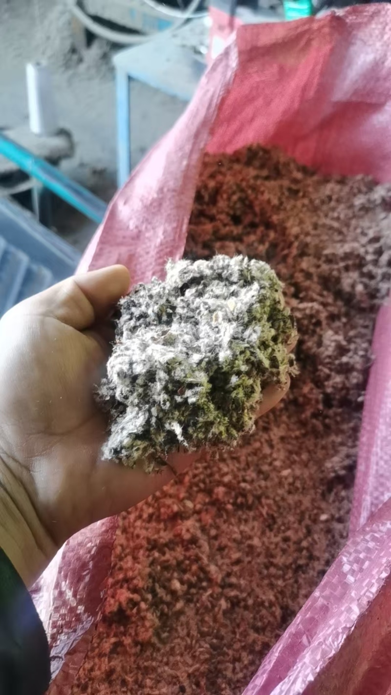 新疆棉壳厂家直销