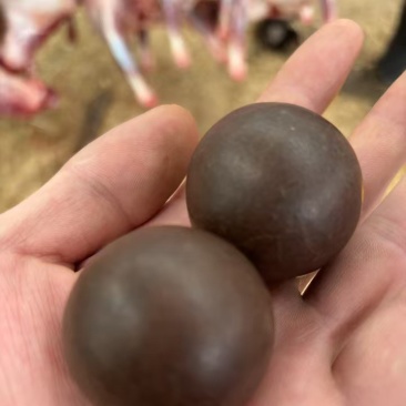 本人有几个家养羊身体里的结石需要联系