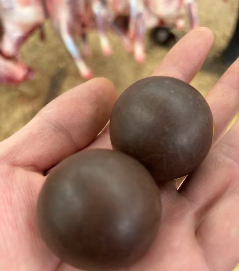 本人有几个家养羊身体里的结石需要联系