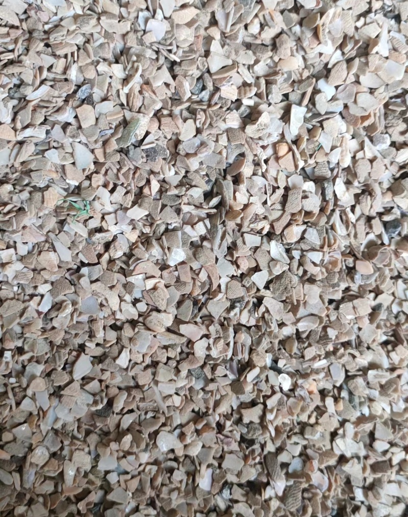 东北高钙水洗贝壳粉