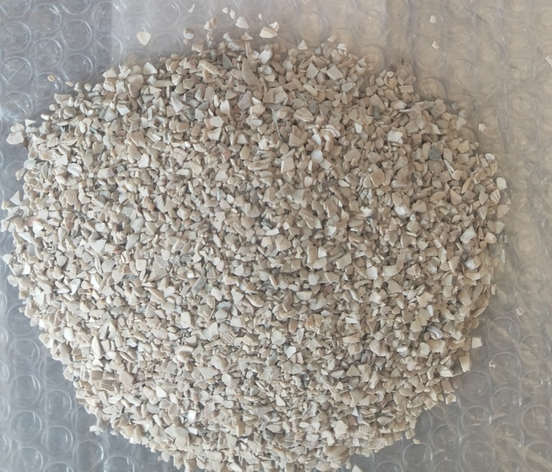 东北高钙水洗贝壳粉