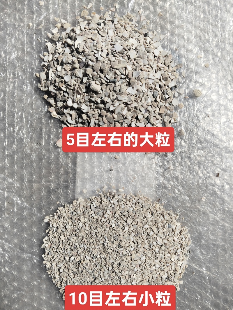 东北高钙水洗贝壳粉
