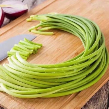 新鲜蒜苔低价一件代发