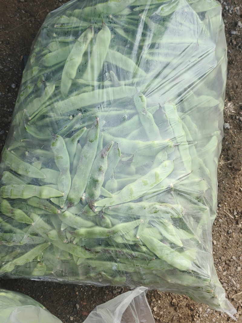 一点红油豆