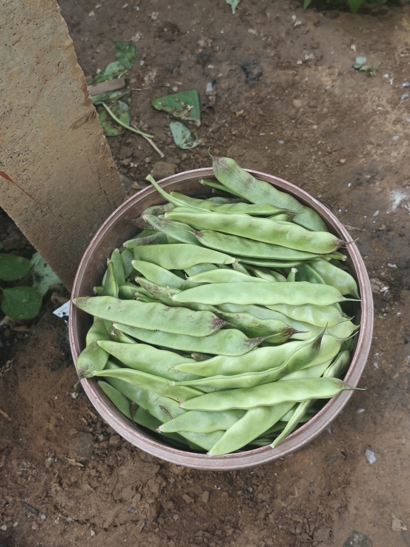 一点红油豆