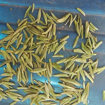 竹叶青茶叶