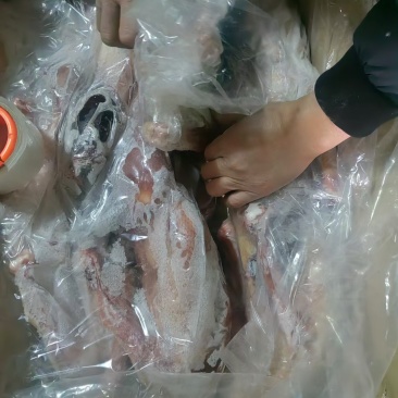 两光三级鹅全净膛39斤5-9只装箱子上没写几级还有4吨