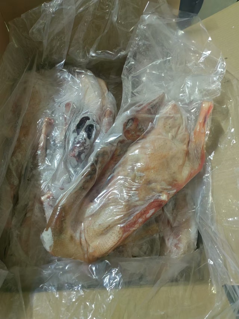 两光三级鹅全净膛39斤5-9只装箱子上没写几级还有4吨