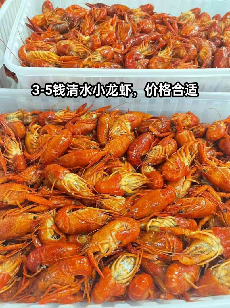 3-5钱清水龙虾，一盒3斤一箱装30盒
