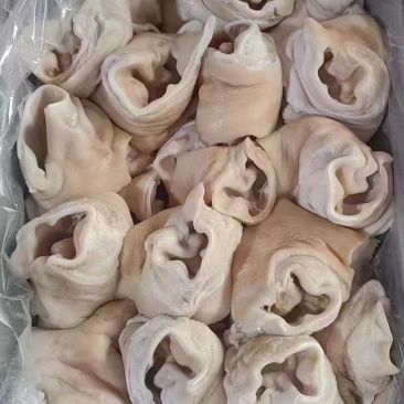耳根耳根