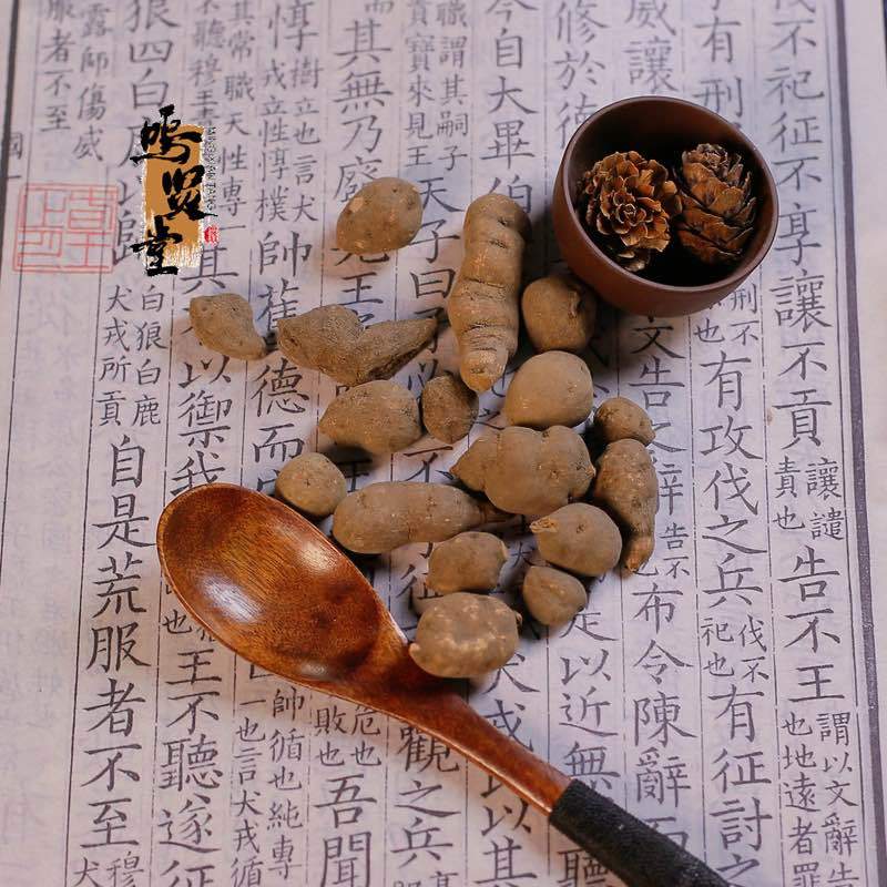 野生三叶青三叶青个子
