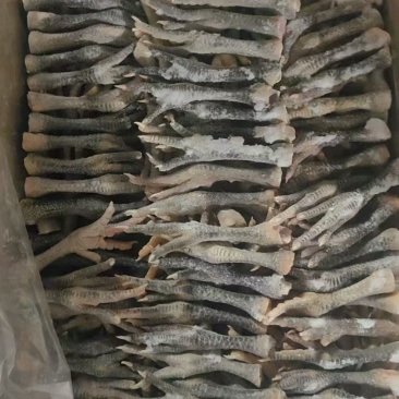40以下土鸡爪1吨