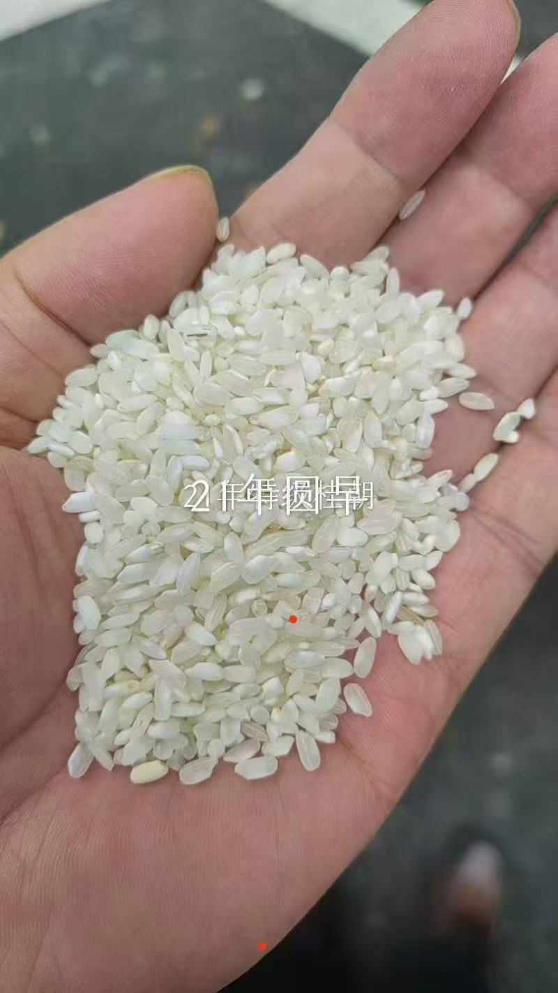 早稻米