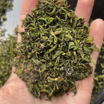 烘青白茶
