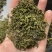 烘青白茶