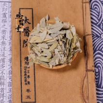 番泻叶片正品天然泻叶番泻叶片散装蕃泻叶潘泄叶非便茶通秘茶