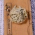 番泻叶片正品天然泻叶番泻叶片散装蕃泻叶潘泄叶非便茶通秘茶