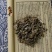 大蓟草中药材新鲜野生包邮马蓟虎蓟草刺蓟大刺儿菜中草