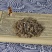 大蓟草中药材新鲜野生包邮马蓟虎蓟草刺蓟大刺儿菜中草