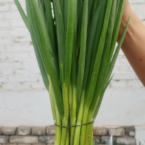 小葱