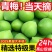 青梅果