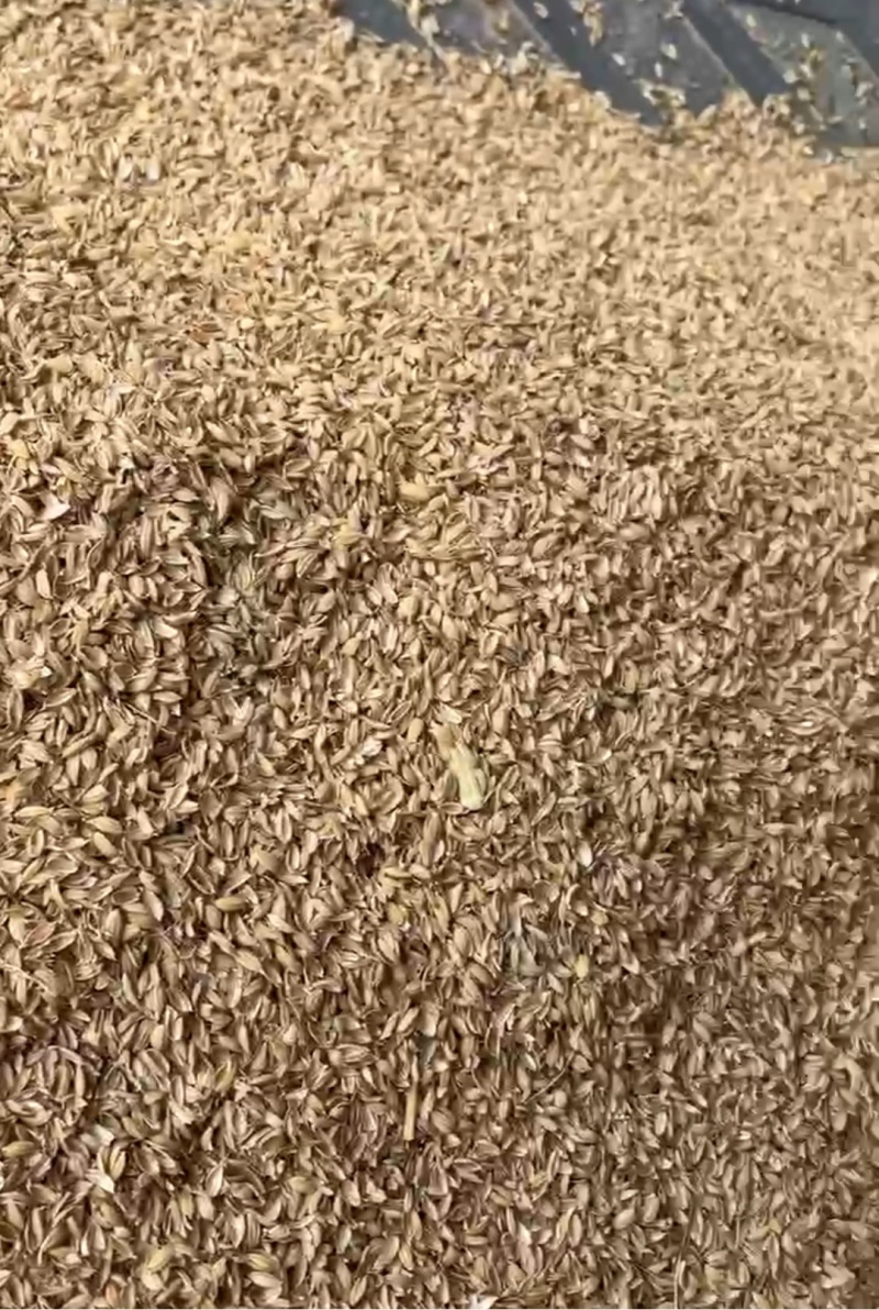 山东压缩稻壳，打包稻壳