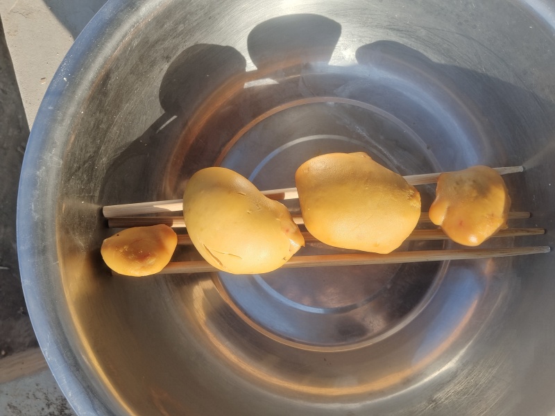 鸡宝