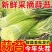 山东产地沂蒙山红帽蒜苔对接各大电商市场商超欢迎老板