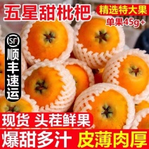 【一件代发】顺丰包邮四川大五星枇杷高山露天种植皮爆多汁电商团
