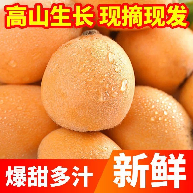 【一件代发】顺丰包邮四川大五星枇杷高山露天种植皮爆多汁电商团