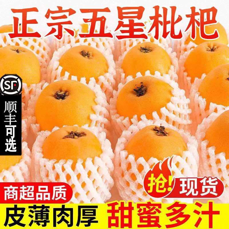 【一件代发】顺丰包邮四川大五星枇杷高山露天种植皮爆多汁电商团