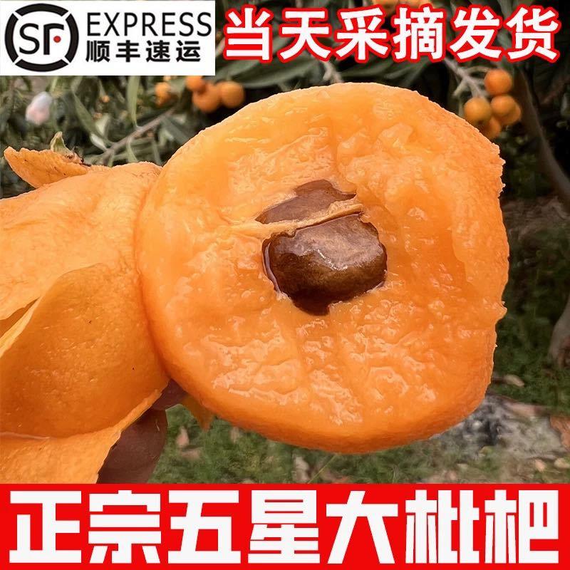 【一件代发】顺丰包邮四川大五星枇杷高山露天种植皮爆多汁电商团