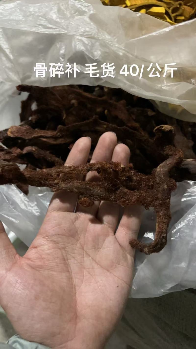 骨碎补干货