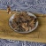 精选鸡蛋花细选缅栀子蛋黄花干货擂捶花正品大季花