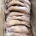 金梦佳猪头源头直供***正品猪头肉随时畅聊口感纯正